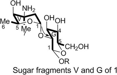 Spectral Data Analysis and Identification of Vancomycin Hydrochloride